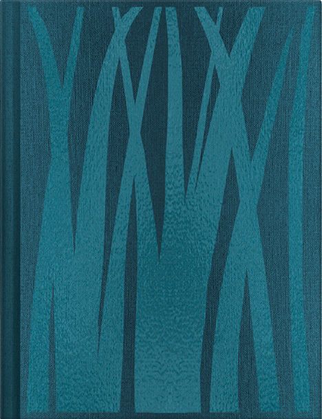 The Ickabog (Hardback)