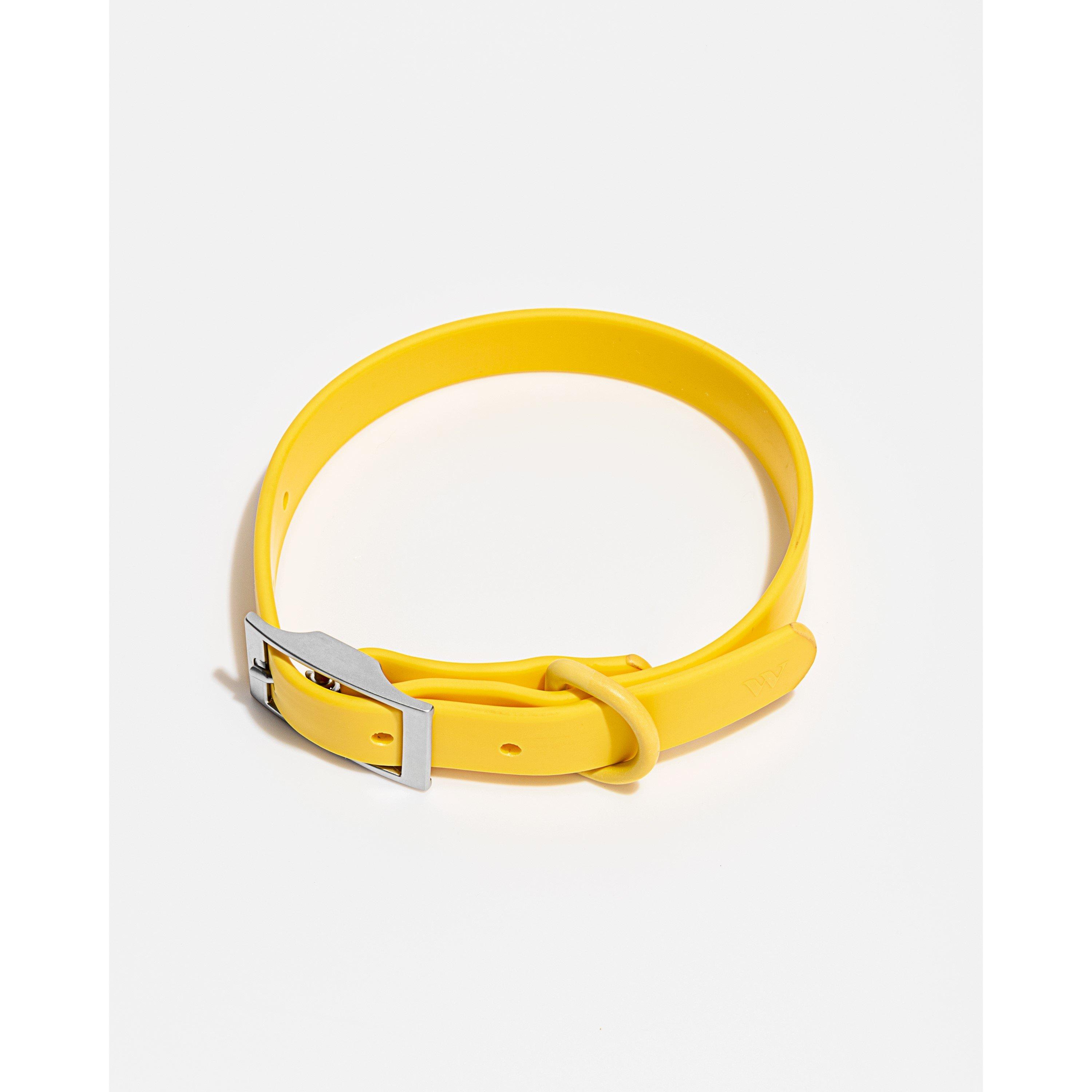 Wild One WO Dog Collar