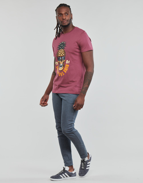 Jack & Jones - JJEUSTACE - Rose