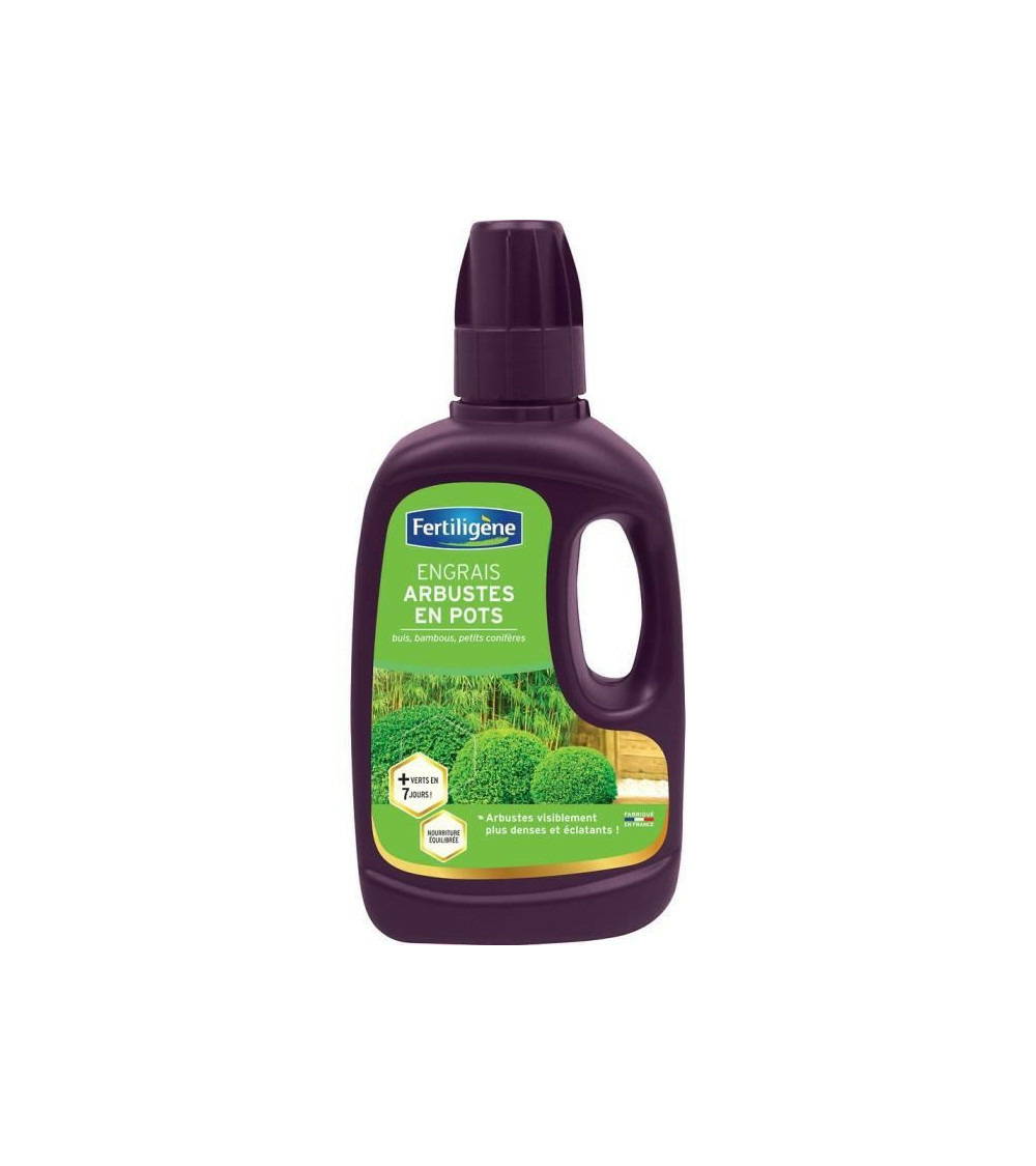 Engrais arbustes buis bambous - 400 ml