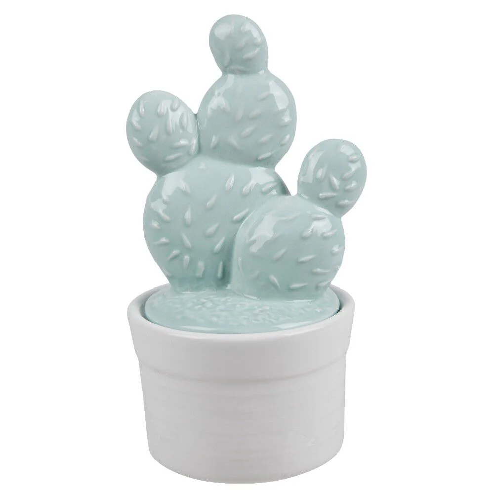 Boîte cactus