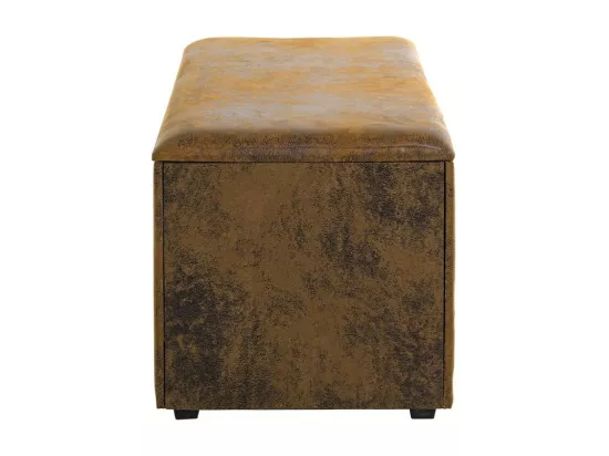 Coffre de Rangement Vintage 