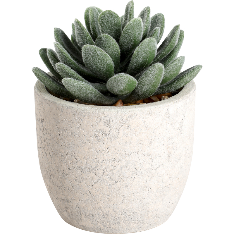 EGLO Kunstpflanze Chitose, 11 cm, grün