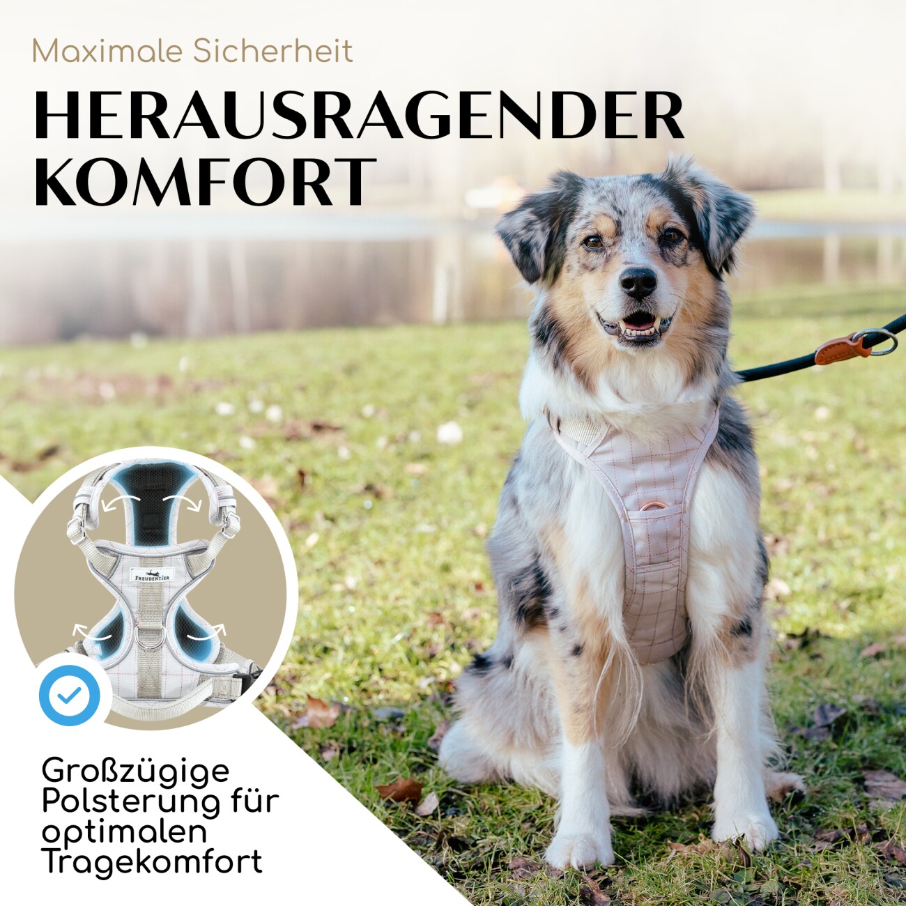 Freudentier atmungsaktives Hundegeschirr Clyde XS