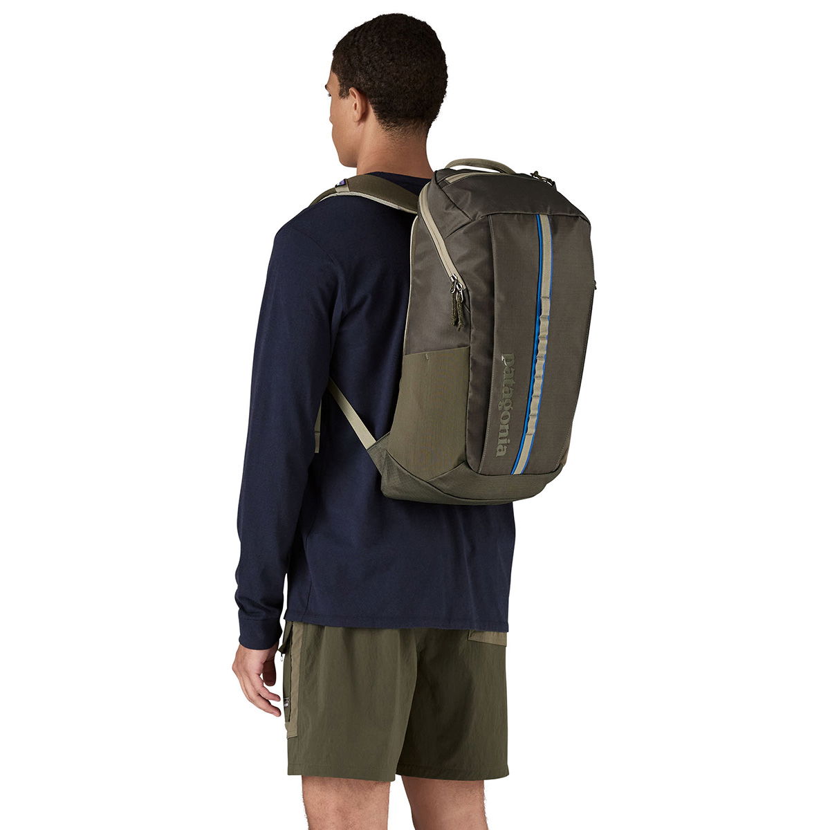 Patagonia Black Hole Pack 25 L (Basin Green)