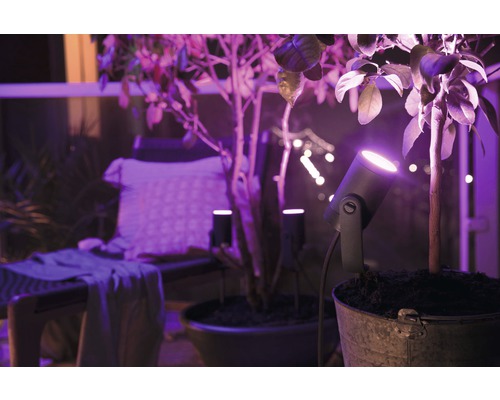 Philips Hue LED Tuinspot Basisset IP65 3x8W 3x640 lm 2000-6500K warm wit tot daglichtwit 24V - Compatibel met SMART HOME van Hornbach