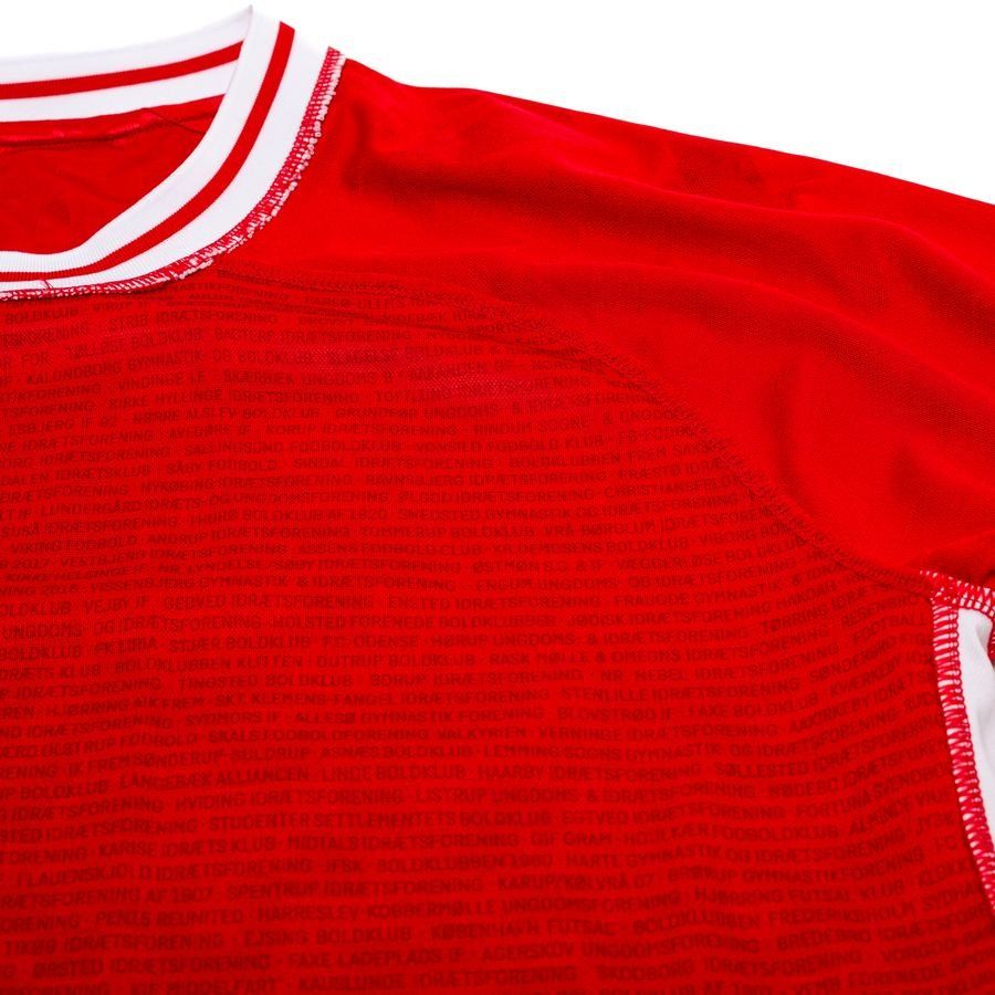 Danemark Maillot Domicile 2024/25