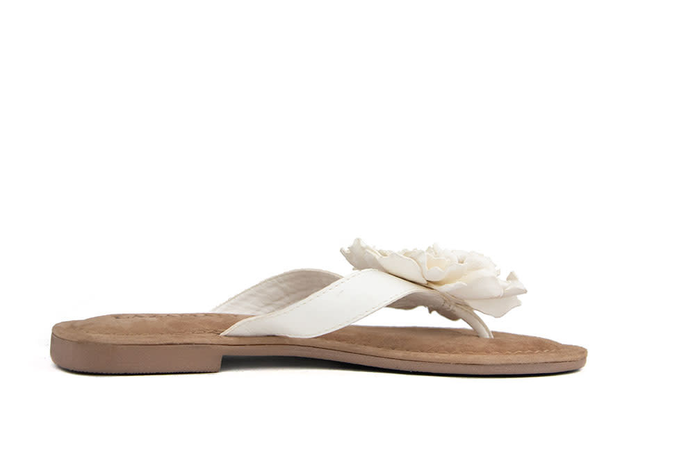 Lazamani Slipper Flower Offwhite