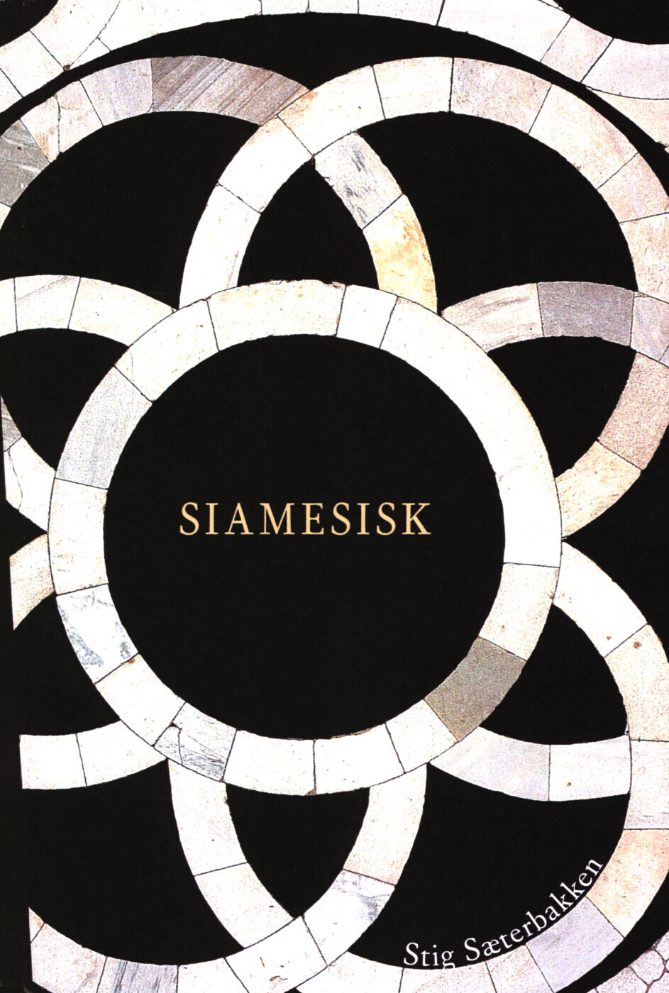Siamesisk - Stig Sæterbakken - Bog