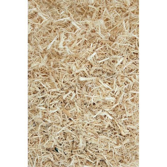 Komodo aspen bed 6L