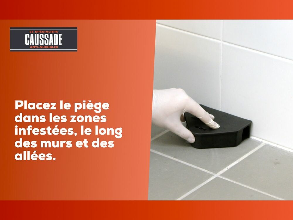 Carpt400 raticide canadien forte infestation appât prêt à l'emploi nou
