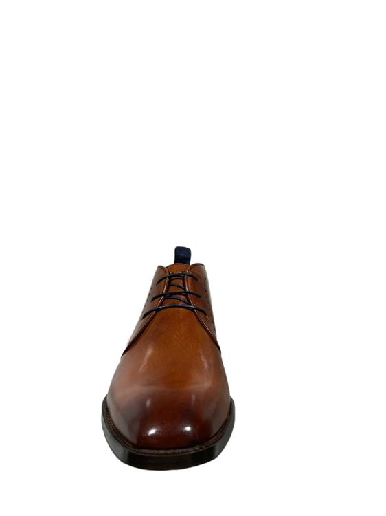 Van Lier 2459910 620 620 Cognac