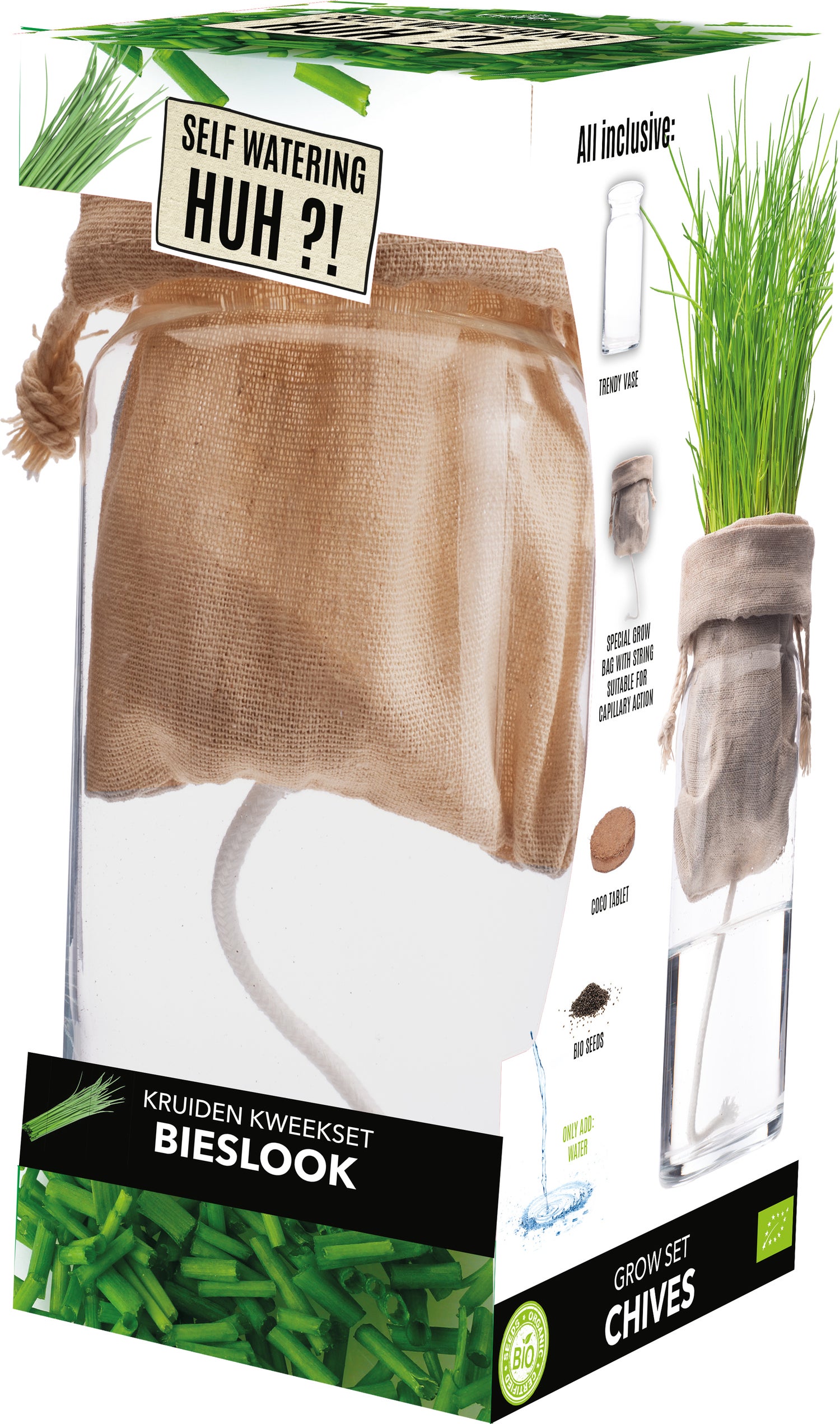 Florex Biologische kruidenset Bieslook (Allium schoenoprasum) zelf bewaterend