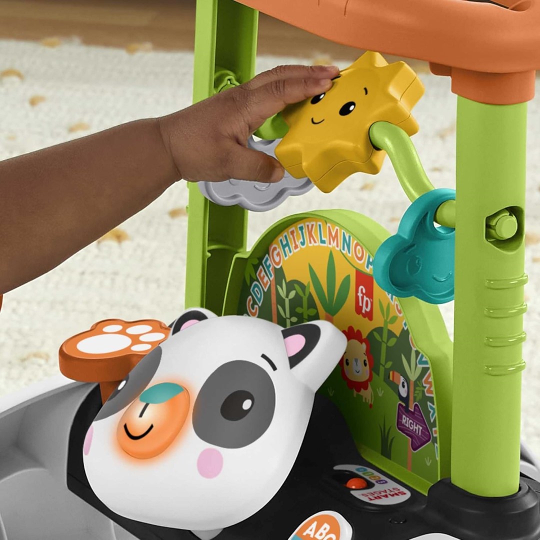Fisher-Price 2-Seiten Auto-Lauflernwagen