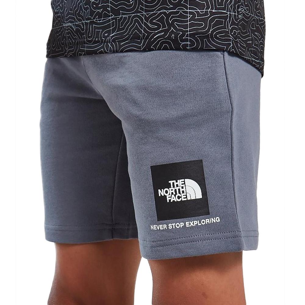 The North Face Short Gris Garçon The North Face Small Box