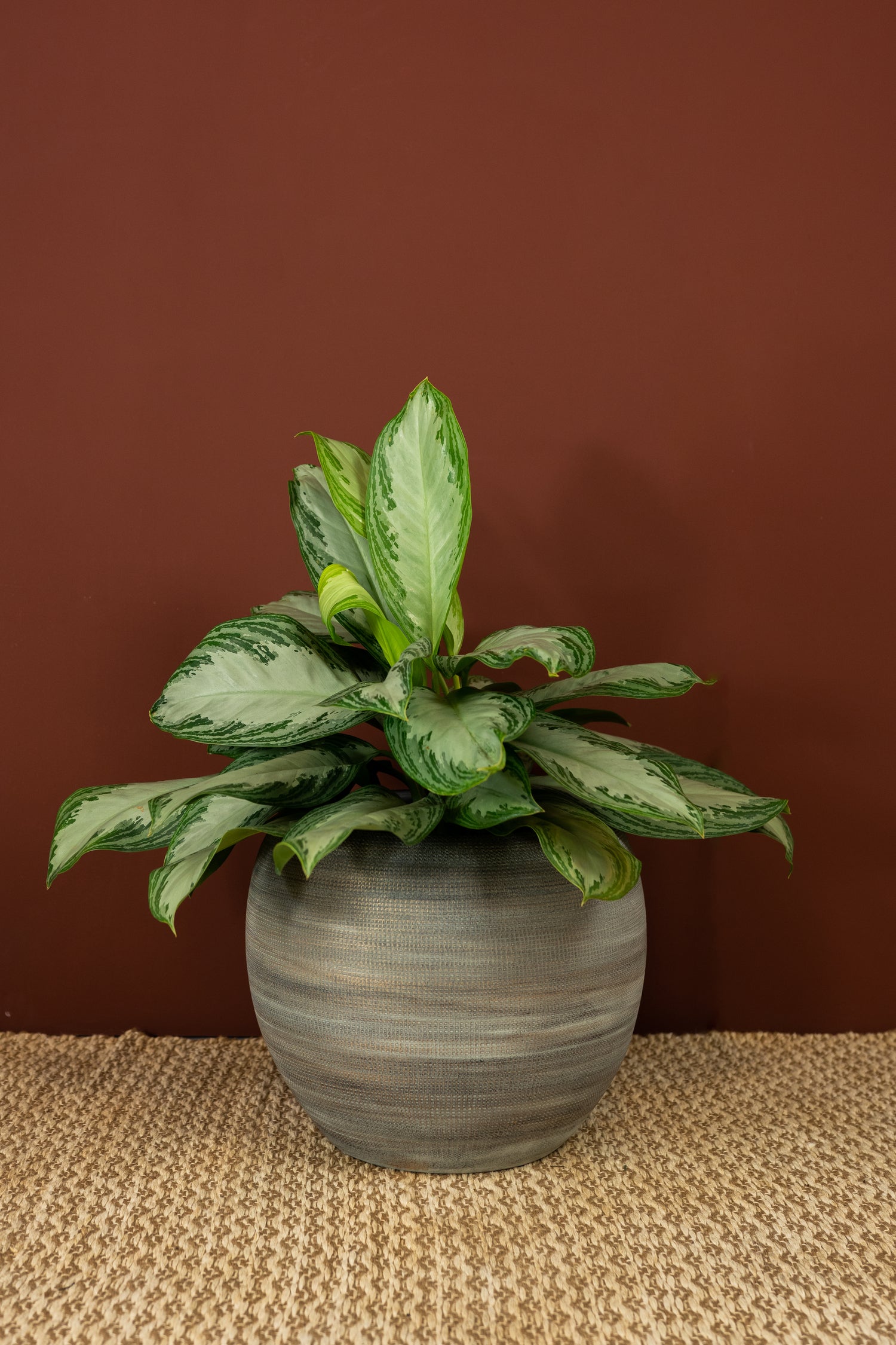 TS bloempot Dex wit / grijs D 28 H 25 cm
