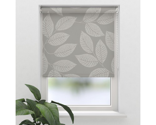 Soluna daglichtrolgordijn D10 bladeren beige 60x190 cm