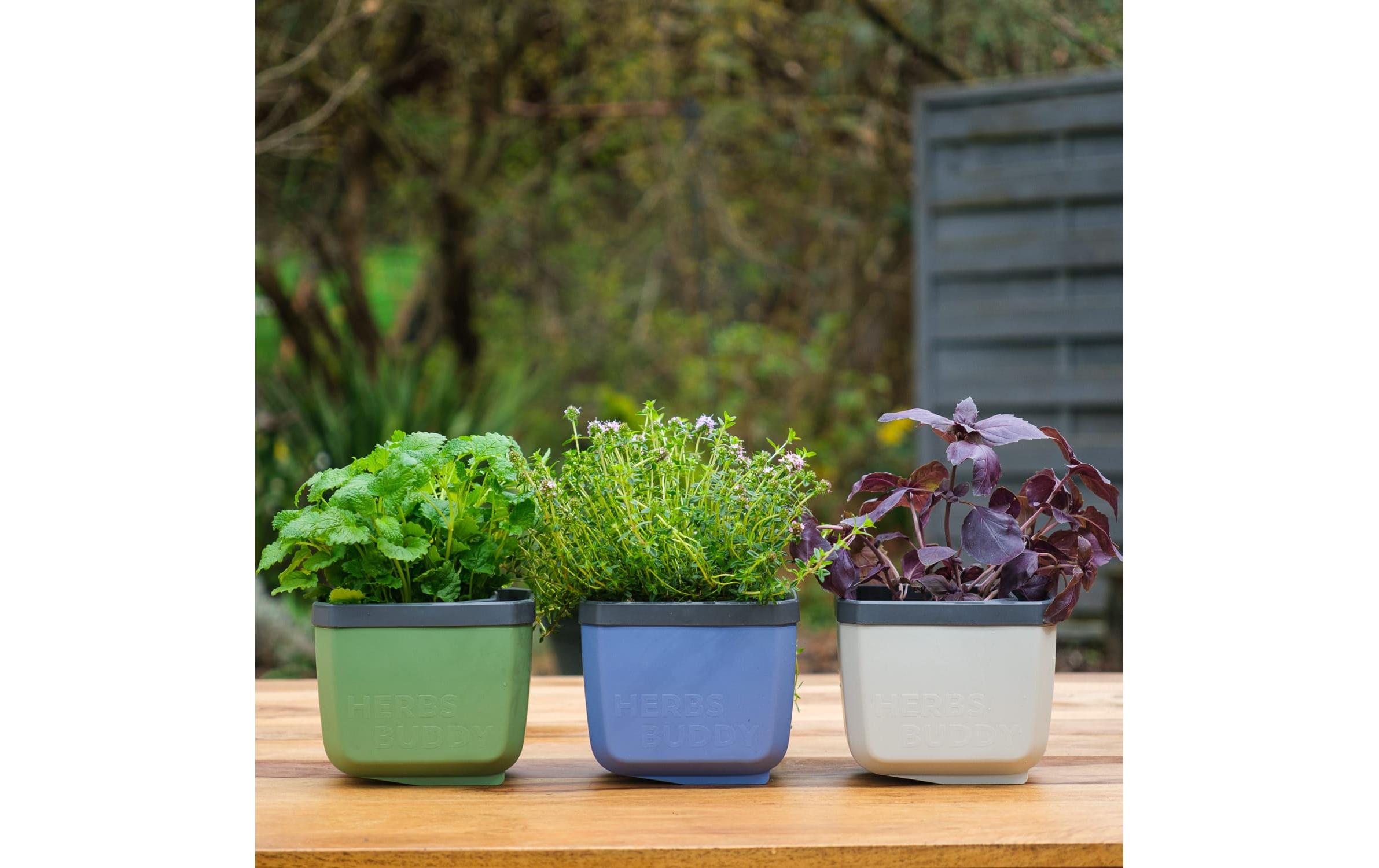 HERBS BUDDY Kräutertopf 3er Set TrecoloreKräutertopf mit Wasserreservoir und Kippfunktion