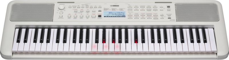 EZ-310 - Draagbaar Keyboard - Zwart - 61 Toetsen - 650 Geluiden