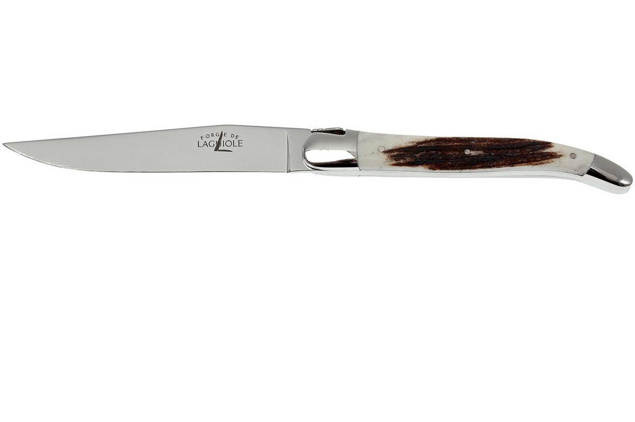 Forge de Laguiole, T22MINCFBRI, hertshoorn