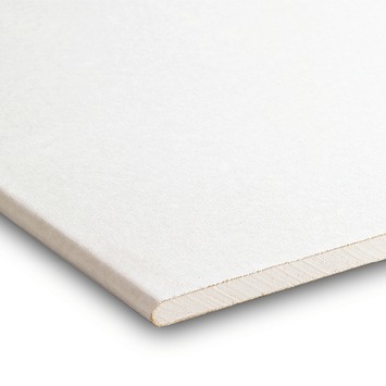 Gyproc plafondplaat RK 200x60cm 9,5mm