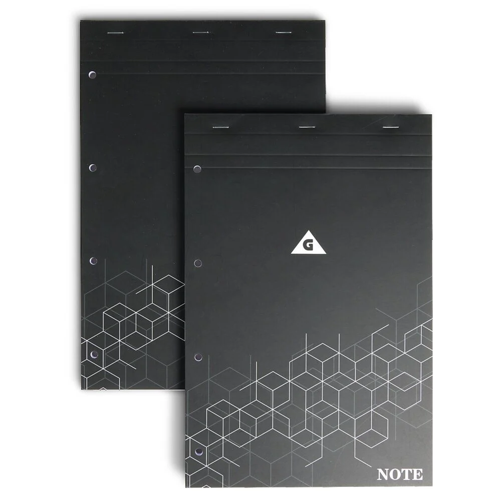 Lot de 2 bloc-notes perforés à grands carreaux A4 - 160 pages