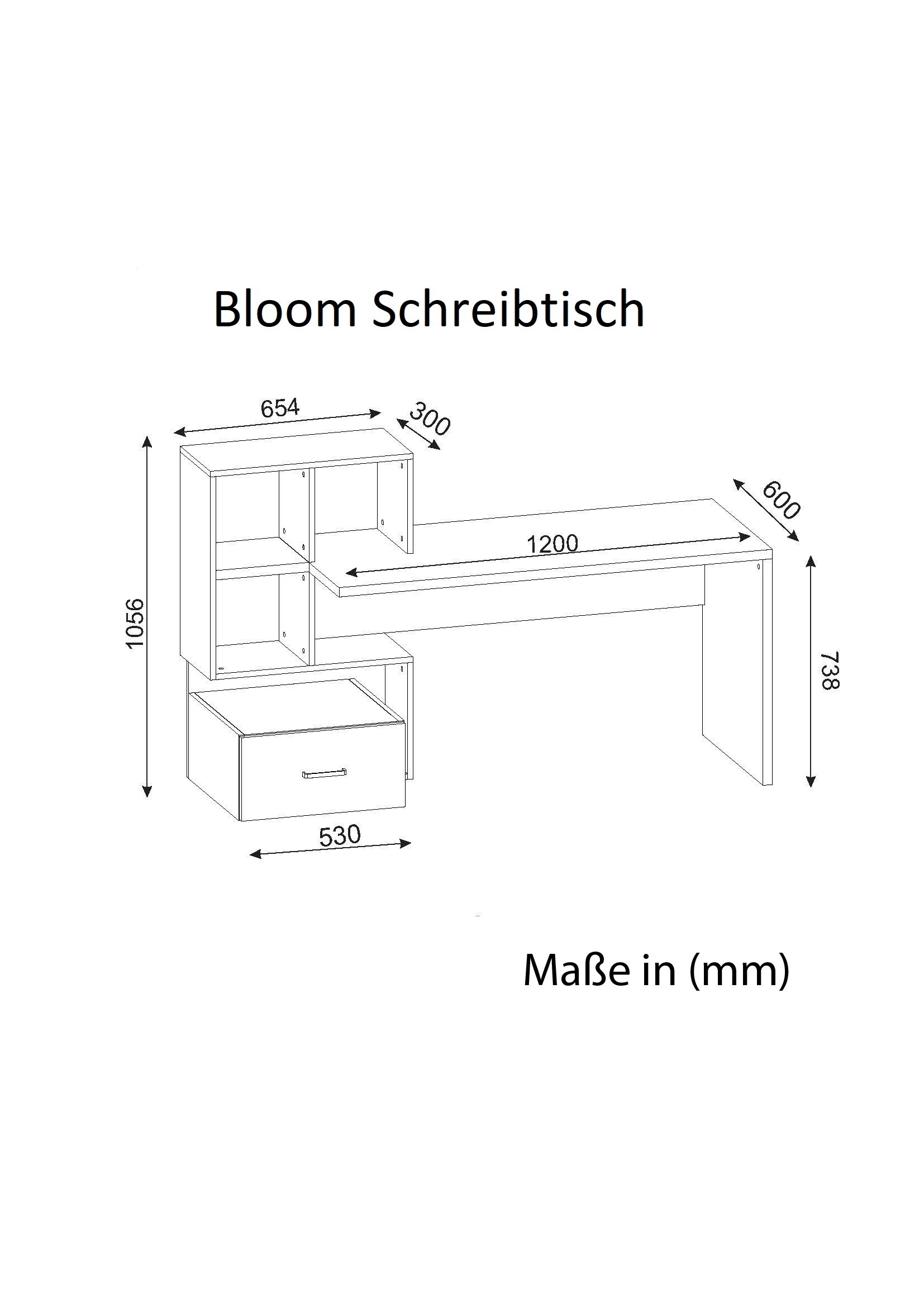 SchreibtischBloom Weiß Walnuss