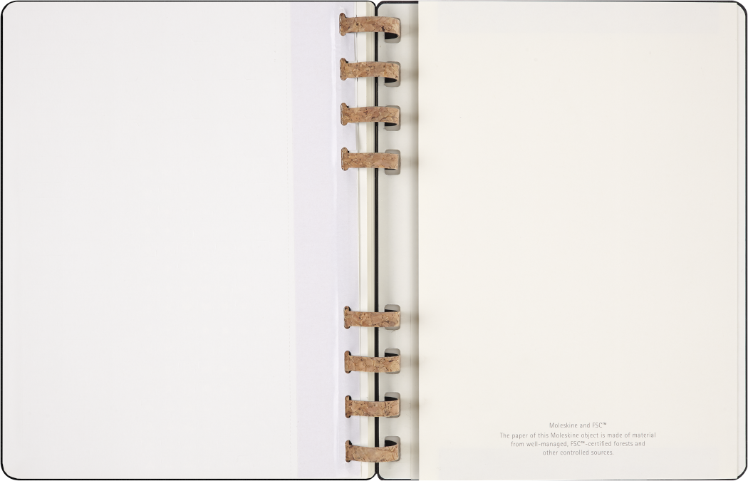 Life Planner 2025 XL 12-Month, Spiral