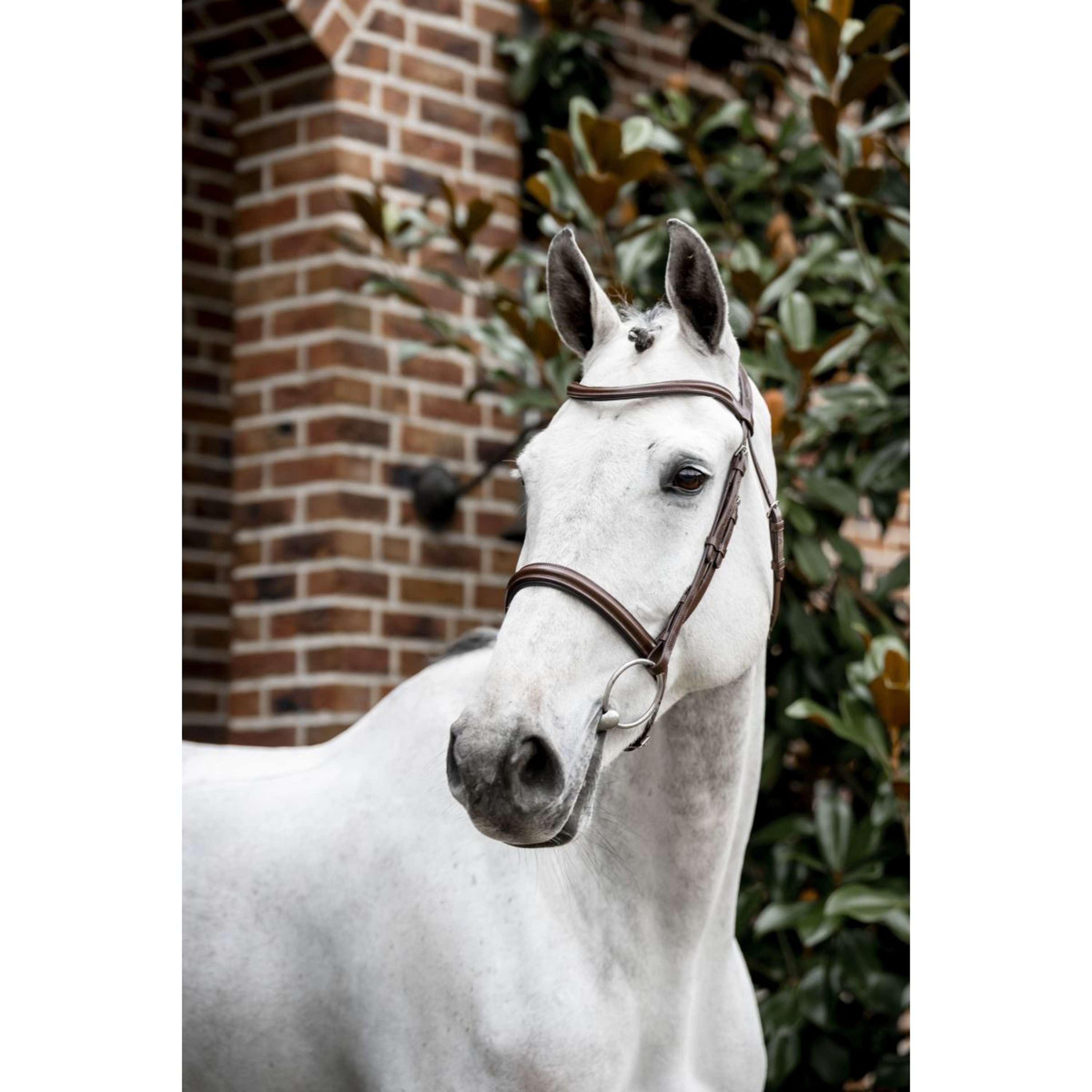 Horseware Hoofdstel Cavesson Bruin