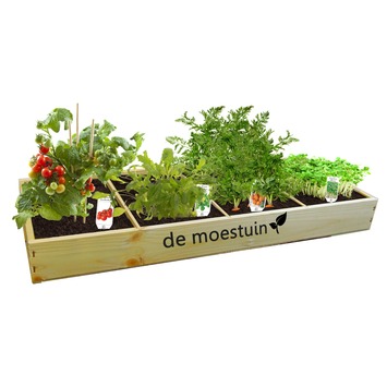 Moestuin Groenten: Mini tomaten, Rucola, Parijse worteltjes en Tuinkers