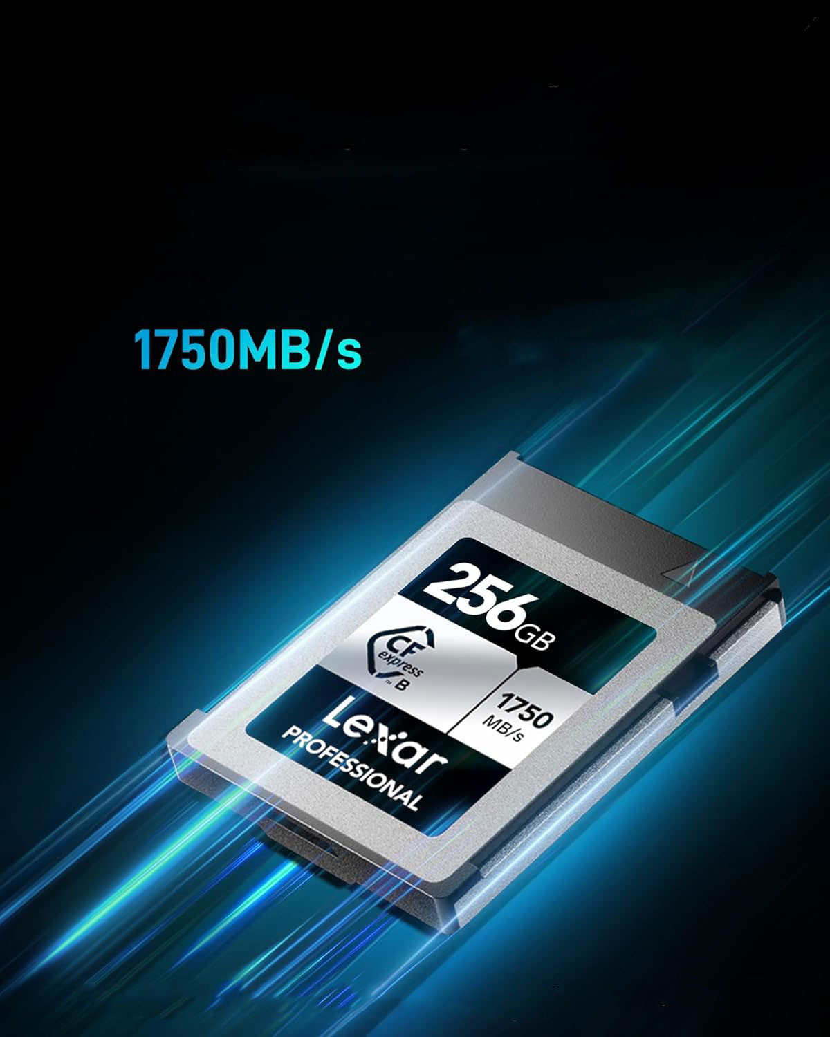 (256GB) Professional SILVER Series CFexpress Type B Speicherkarte mit bis zu 1750Mbit/s / 8K Video (LCXEXSL256G-RNENG) - Silber