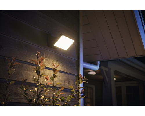 Philips Hue dimbare schijnwerper 30W 2300 lm Welcome zwart - Compatibel met SMART HOME van Hornbach