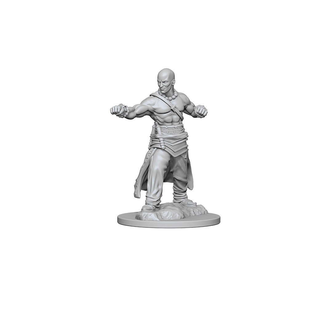 Pathfinder Deepcuts Unpainted Miniatures: Human Male Monk