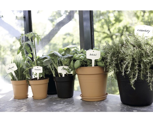 elho Green Basics plantenpot, kunststof, Ø 11 cm, H 10 cm, zwart