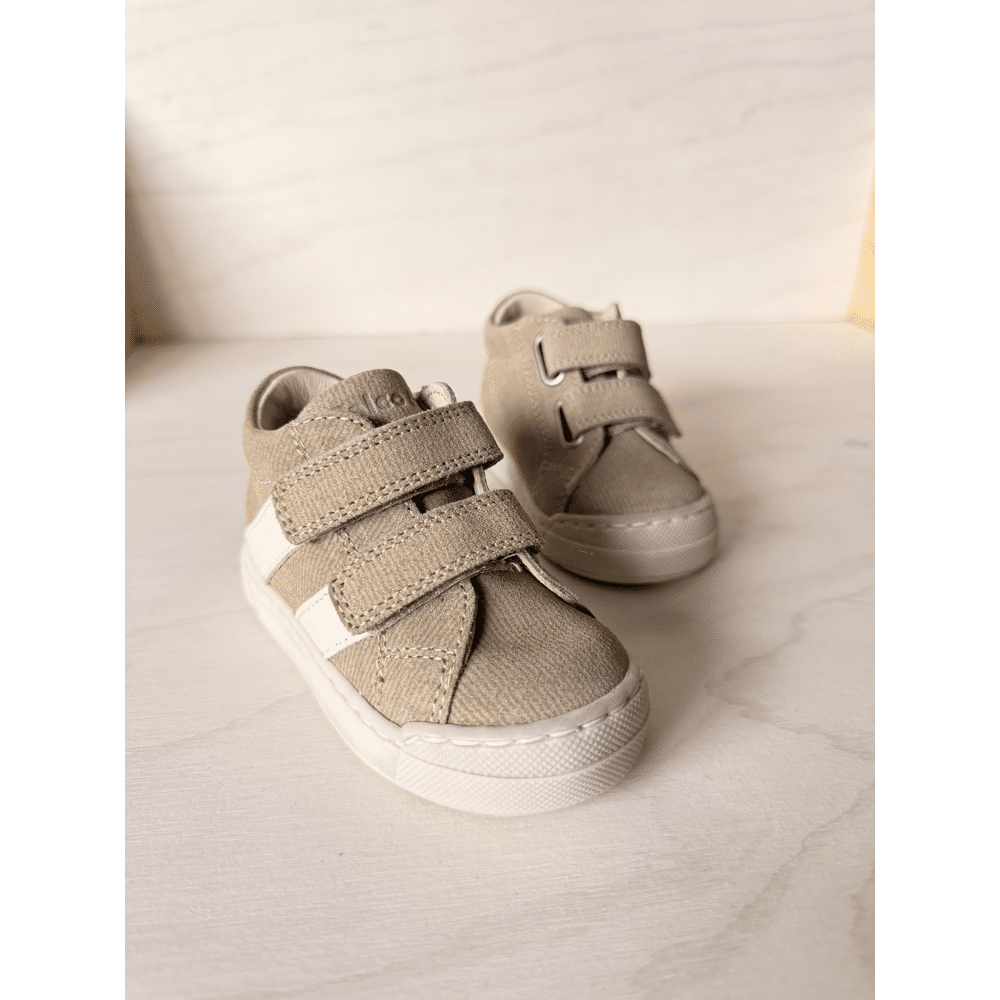 FALCOTTO - Sneaker met stootneus - Gazer
