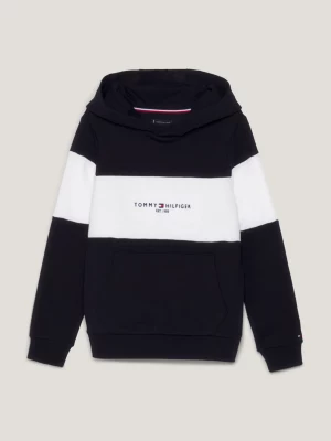 Moletom com capuz Essential Color Blocked Logo