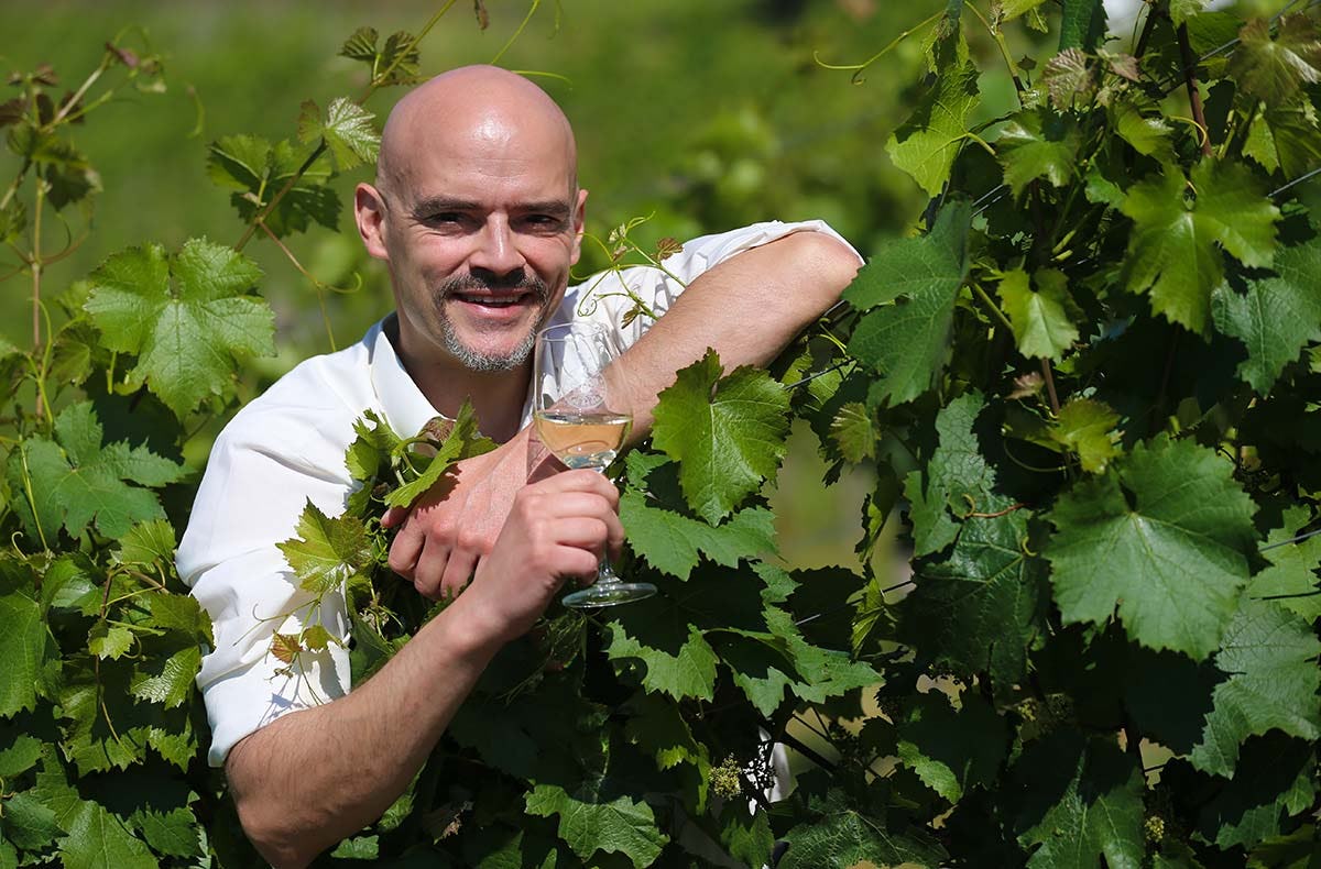 Weinseminar für Genießer Lorch