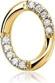 14 karaat geelgouden hanger 10 Diamanten