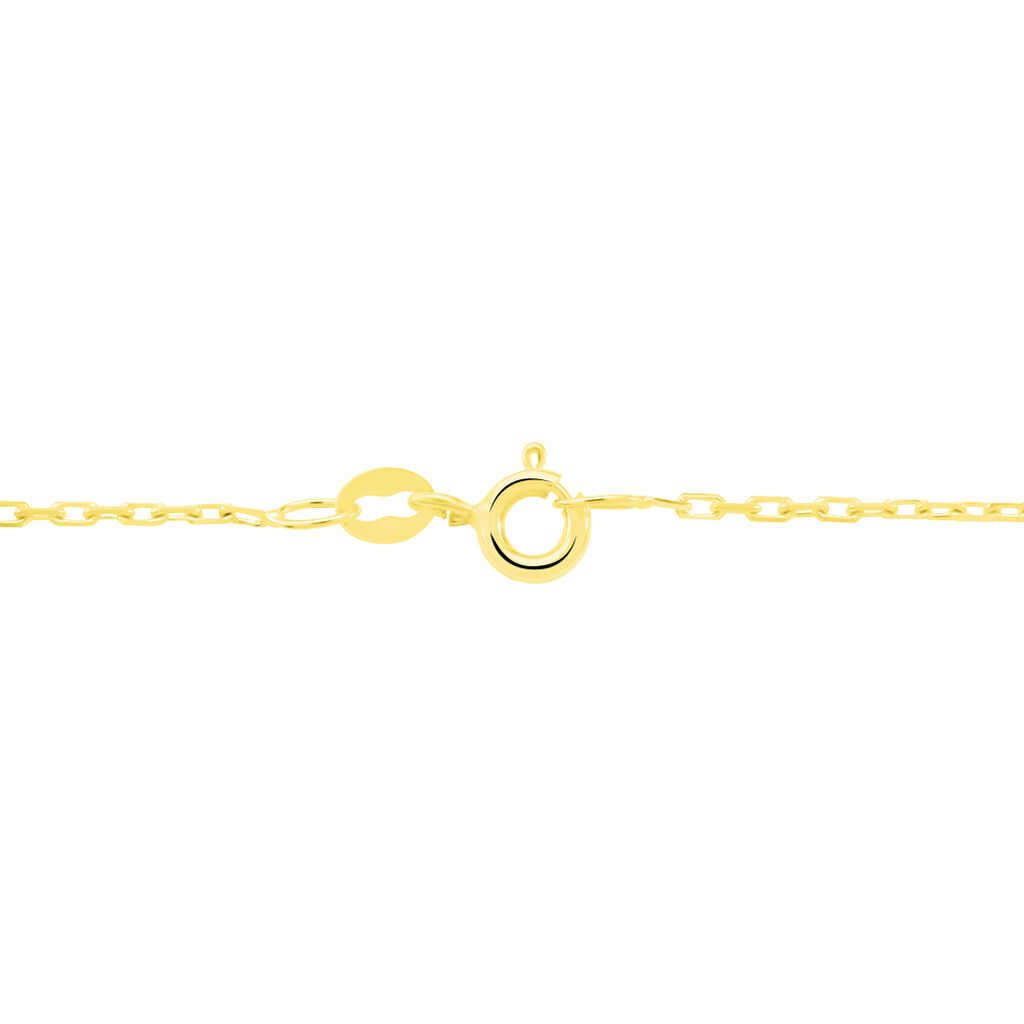 Chaine Or Jaune Forçat