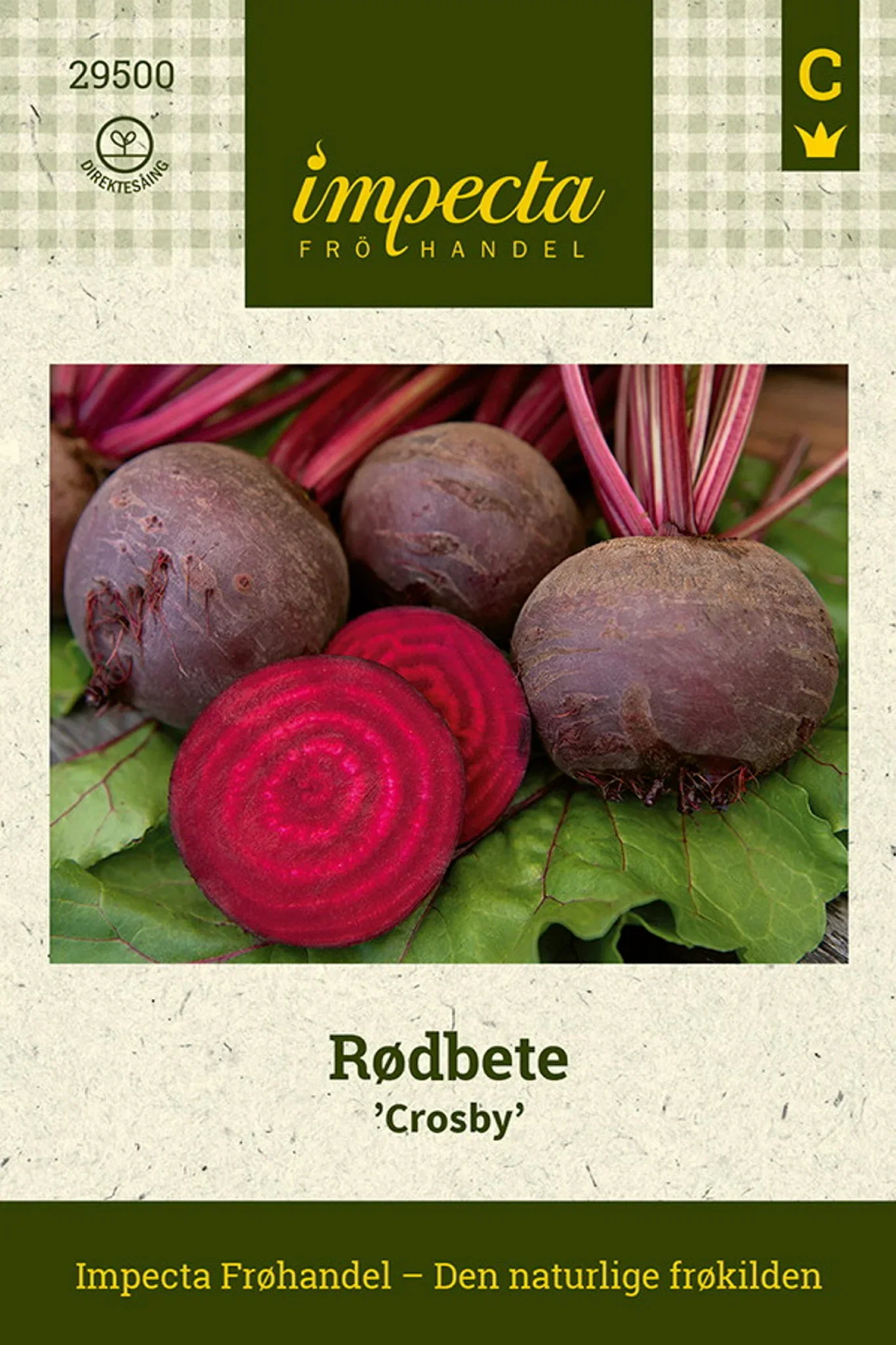 Beta vulgaris 'Crosbys Egyptian' Rødbete 'Crosby'