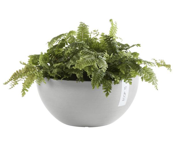 Ecopots Kunststoff-Topf Brussels, rund