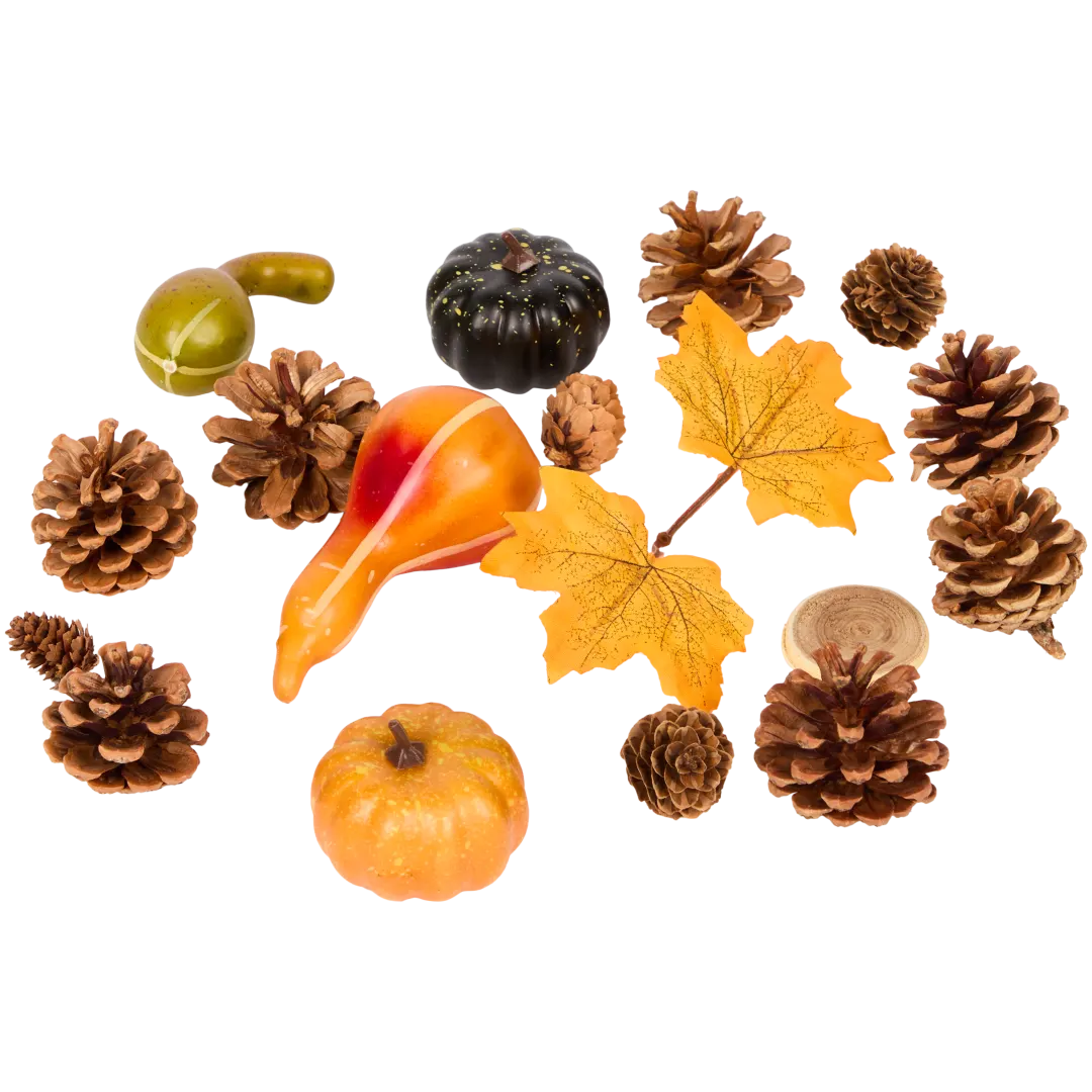 Mélange de décoration d’automne
