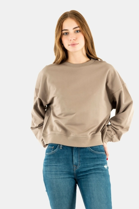 sweat ichi vea 181210 driftwood