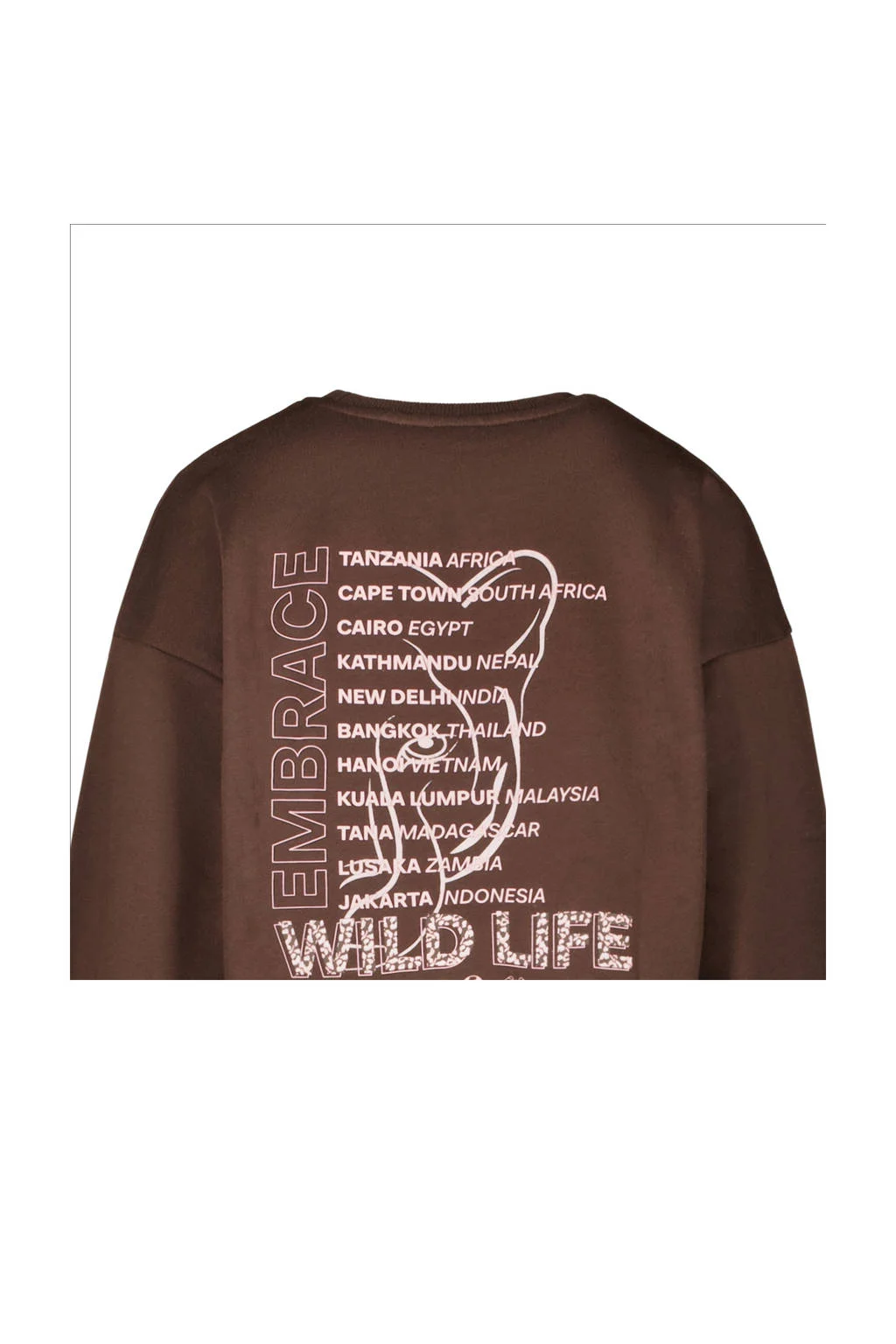 Cars sweater bruin