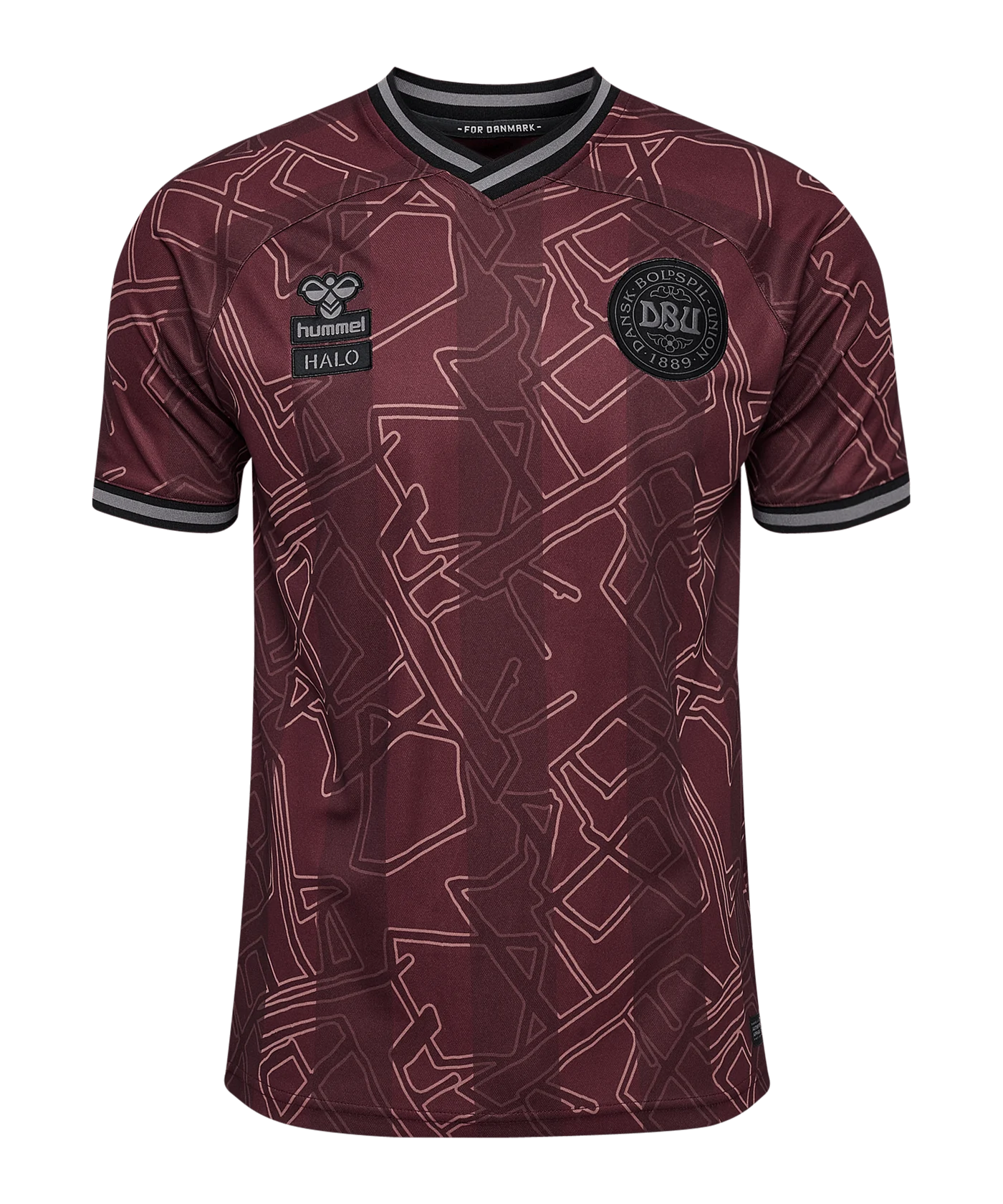 Hummel Dänemark x Halo Trikot 2024 Blau F8186
