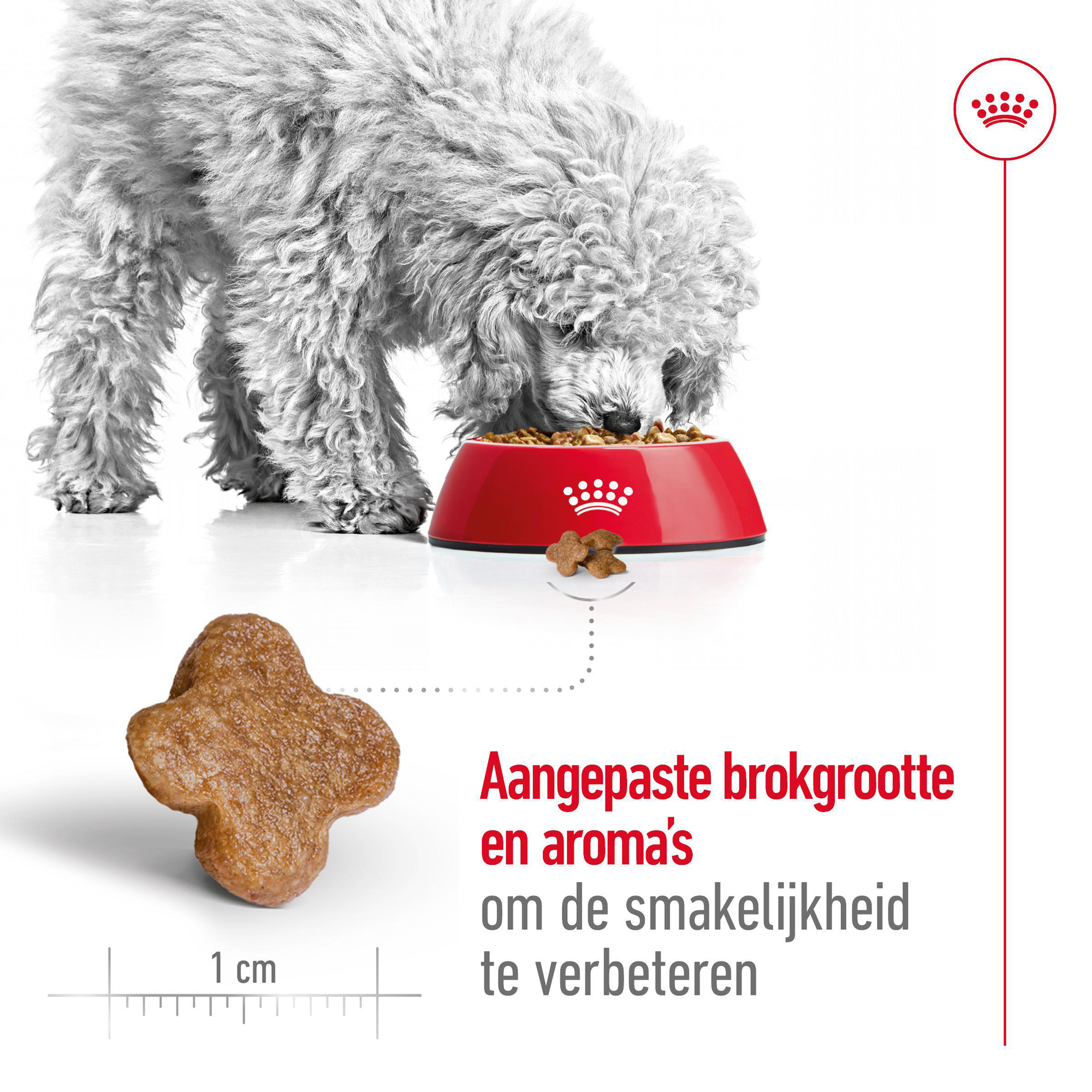 Royal Canin Mini Adult 8+ - Hondenvoer