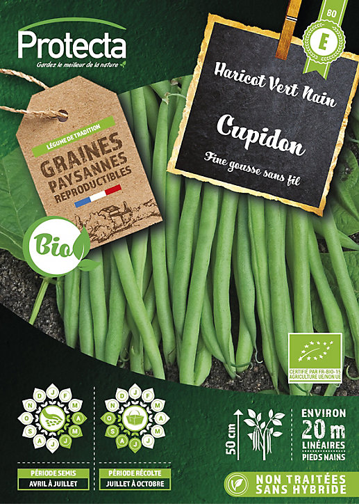 Graine d'haricat nain sans fil bio Protecta