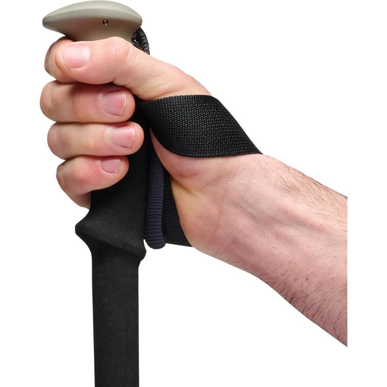 Black Diamond Trail Trekking Poles Pine Smoke
