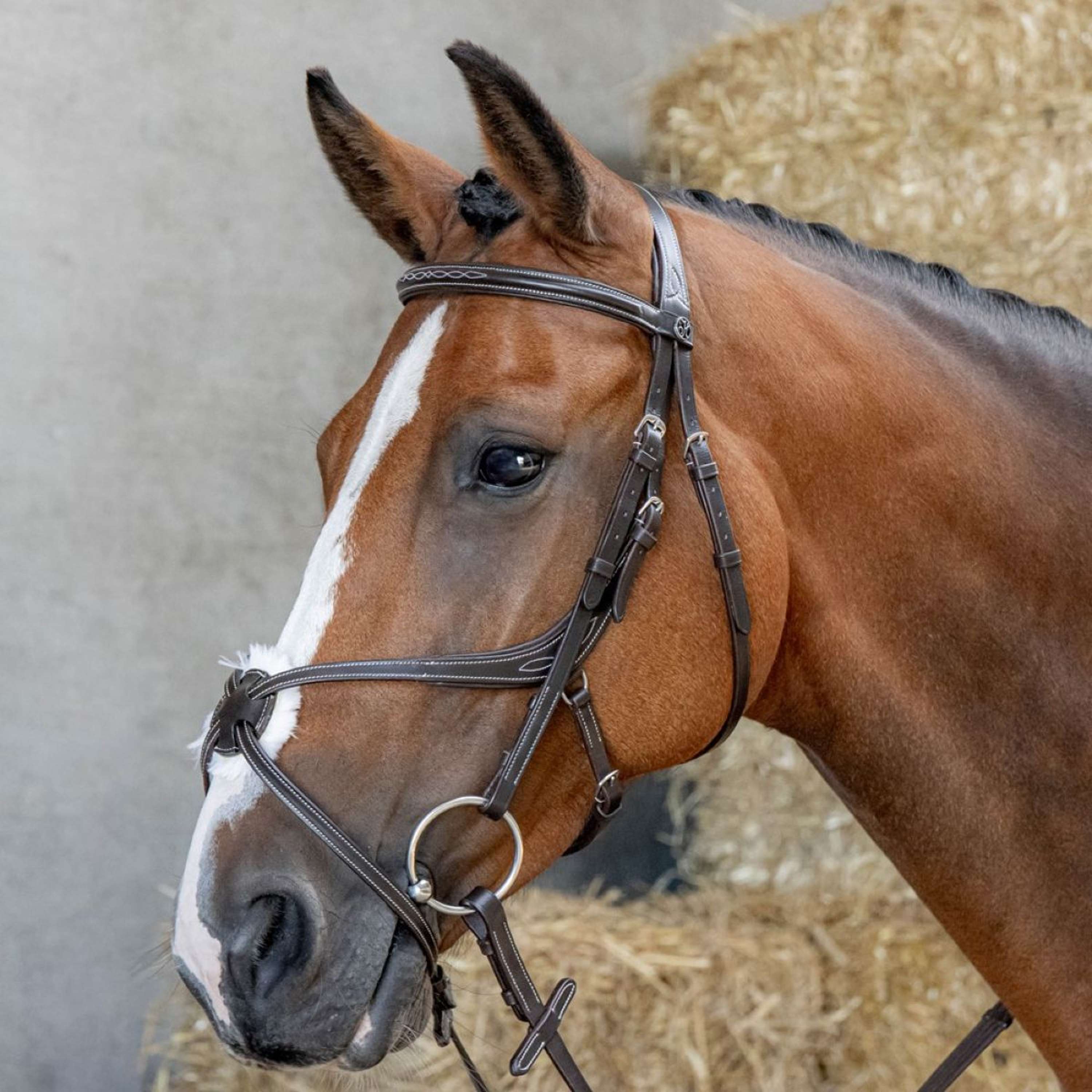 Harry's Horse Mexicaans Hoofdstel Anatomic Bruin