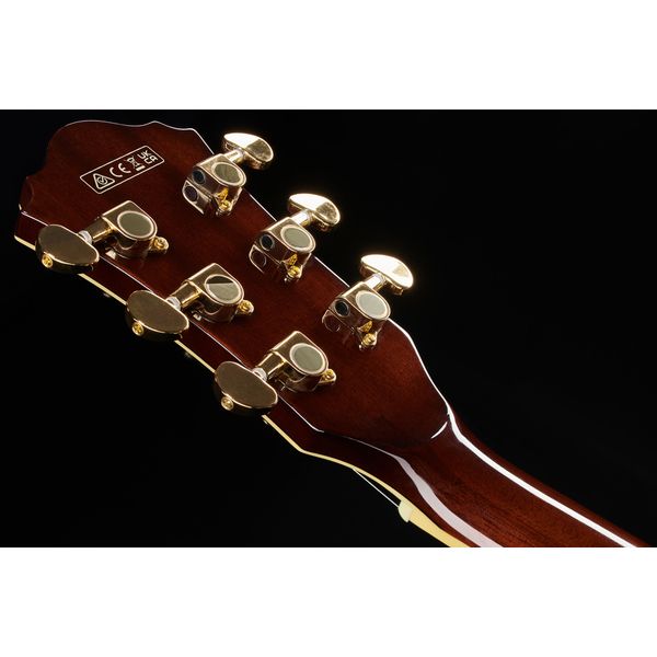 Ibanez AG95K-NT